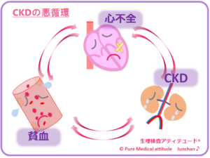 CKDの悪循環