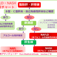 NASH・NAFLD診断チャート