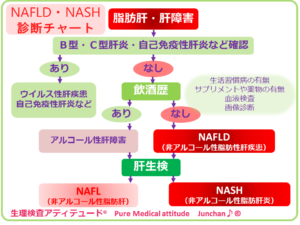 NASH・NAFLD診断チャート