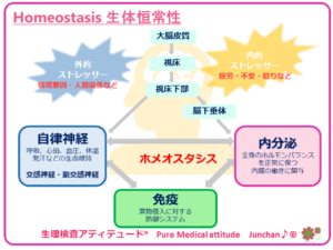 Homeostasis 生体恒常性