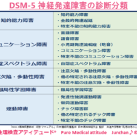 DSM-5 神経発達障害の診断分類